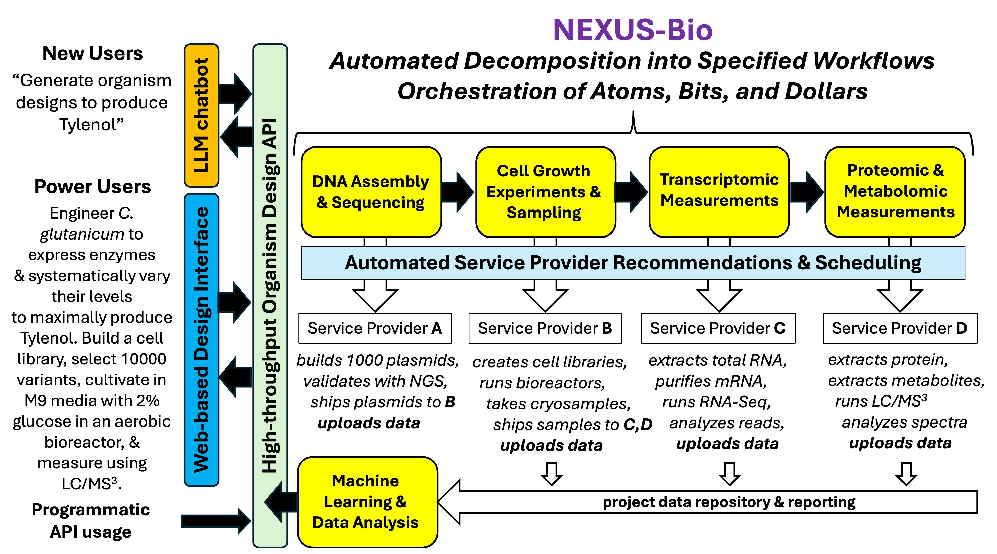 Nexus Bio researcher workflow illustration